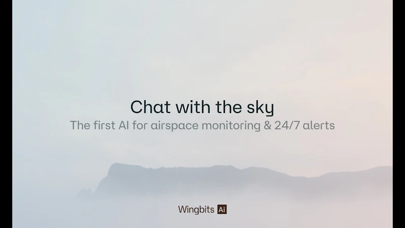 Wingbits AI screenshot 1 (video preview)
