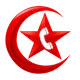 AyyildizTel Voip Dialer