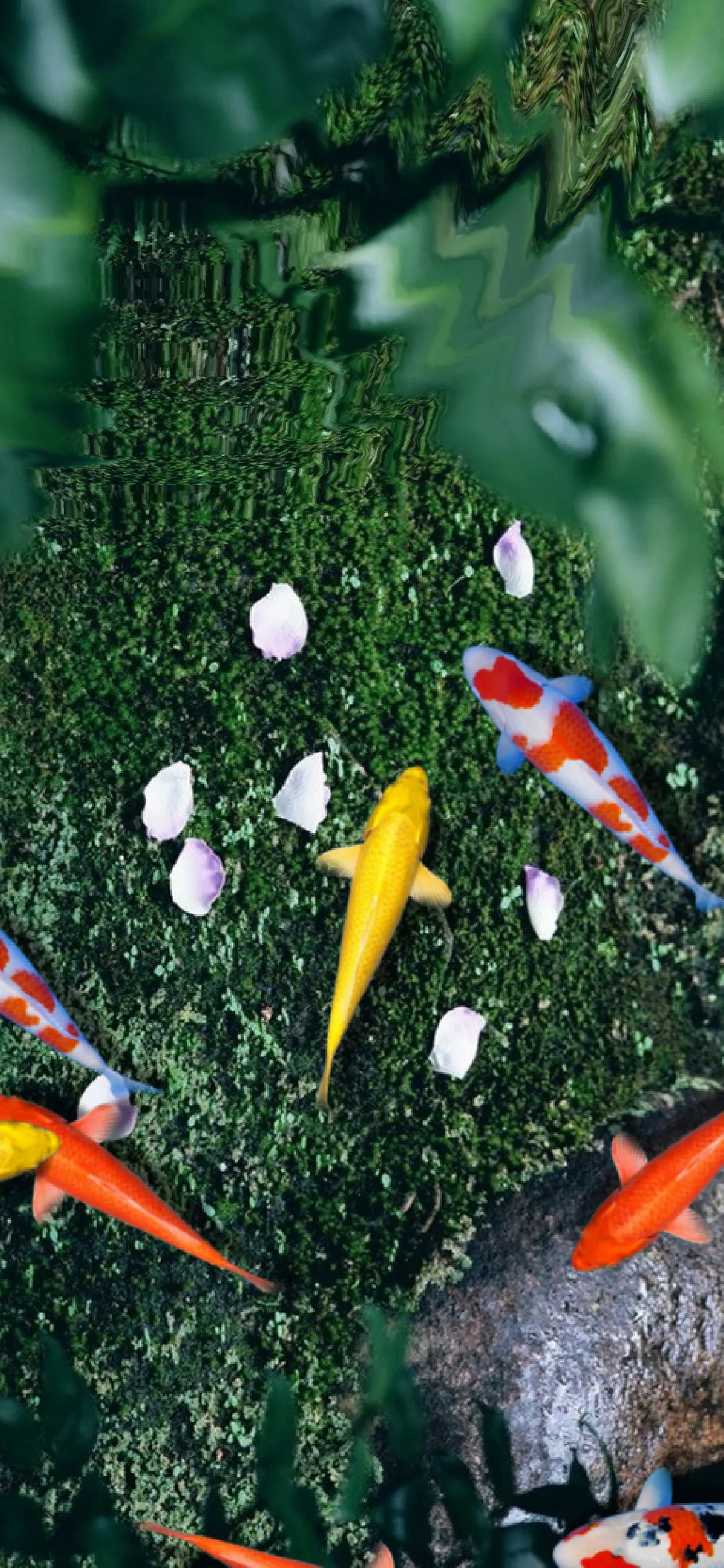 Pond Koi gallery image