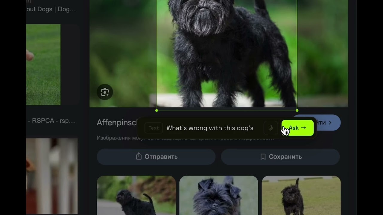  Ludr AI — Understand Any Screen gallery image