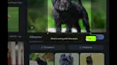 Ludr AI — Understand Any Screen