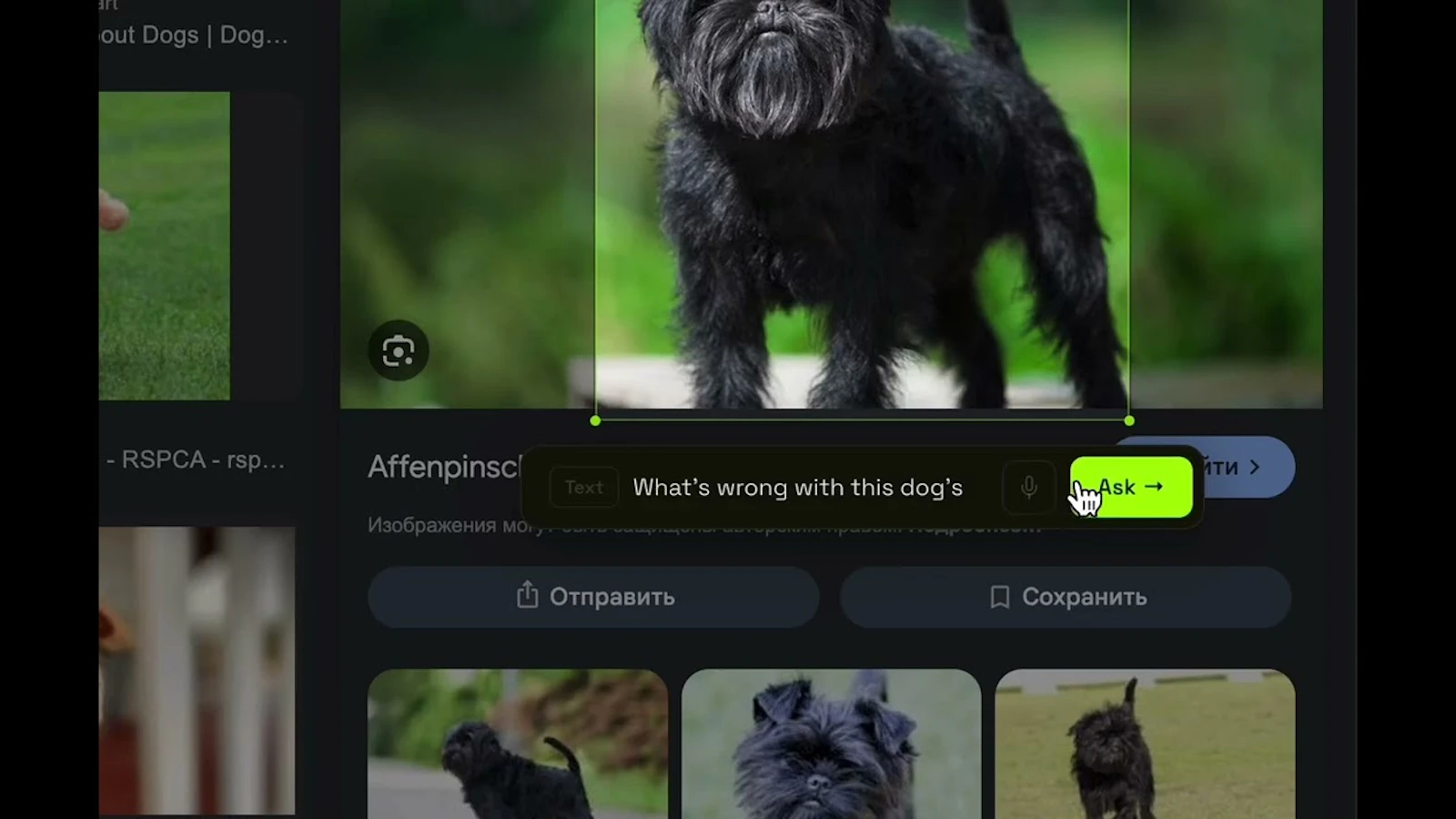  Ludr AI — Understand Any Screen screenshot 1 (video preview)
