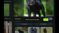 Ludr AI — Understand Any Screen