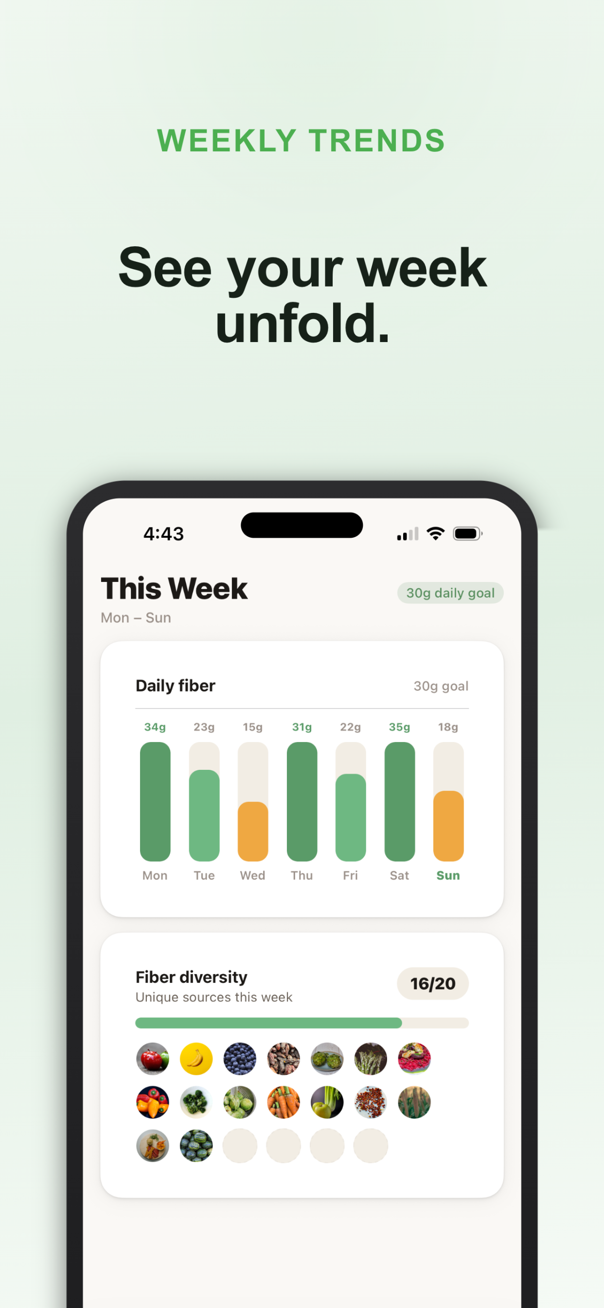 FiberUp: Fiber Tracker gallery image