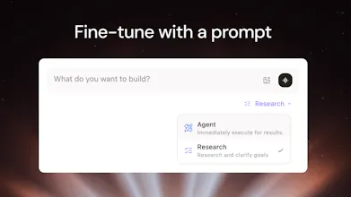 Pioneer 畫廊圖片