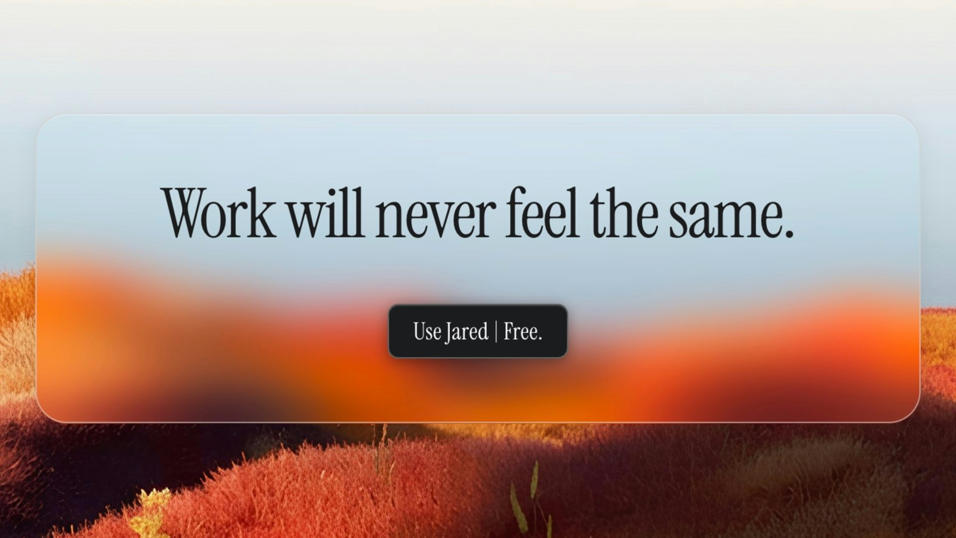 jared.so gallery image