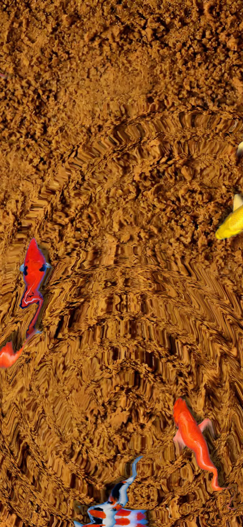 Pond Koi screenshot 8