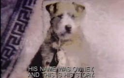 Owney Mail media 1