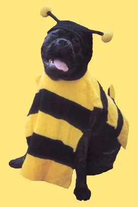 Bee Dogs