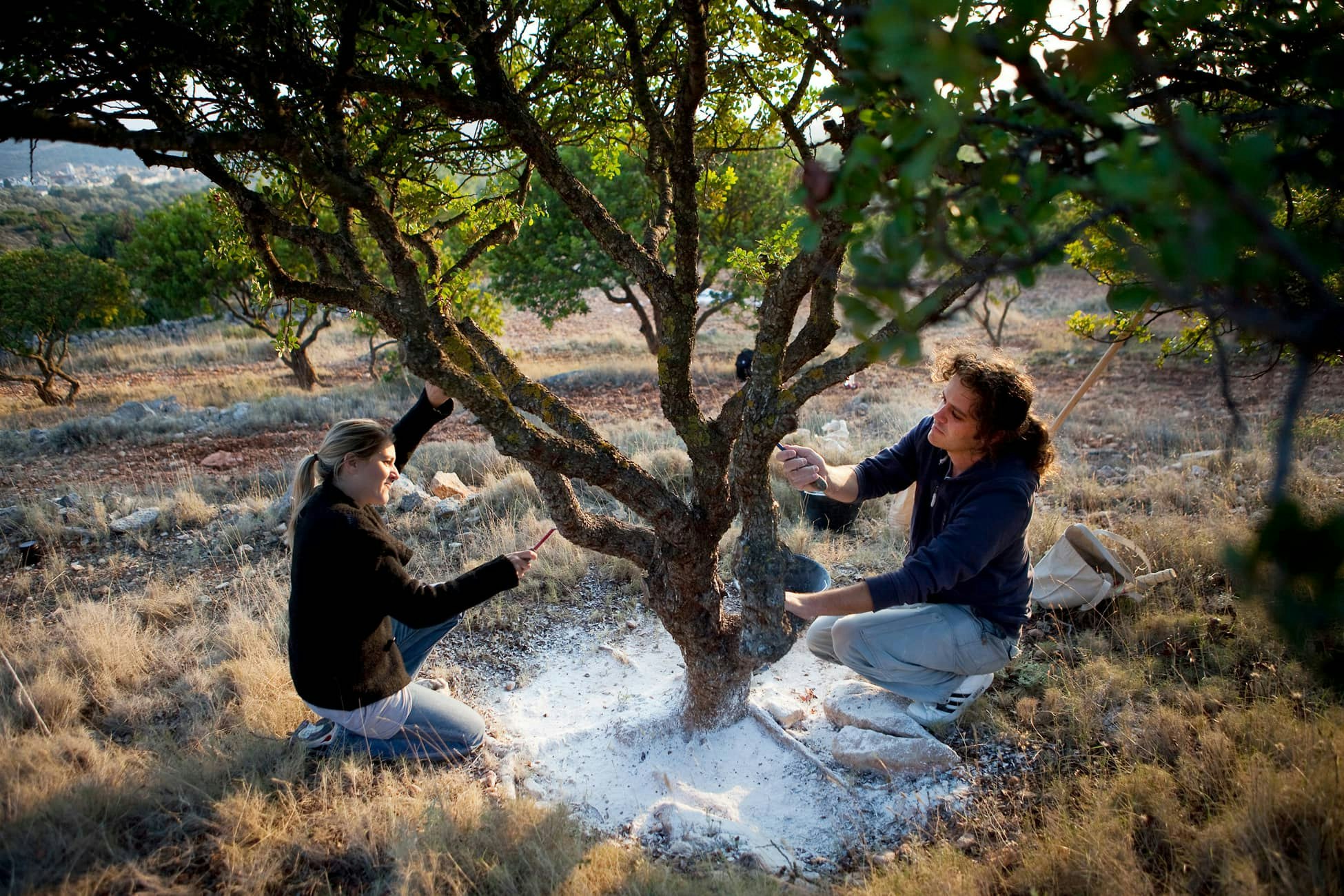 Steel Jawline Gum gallery image