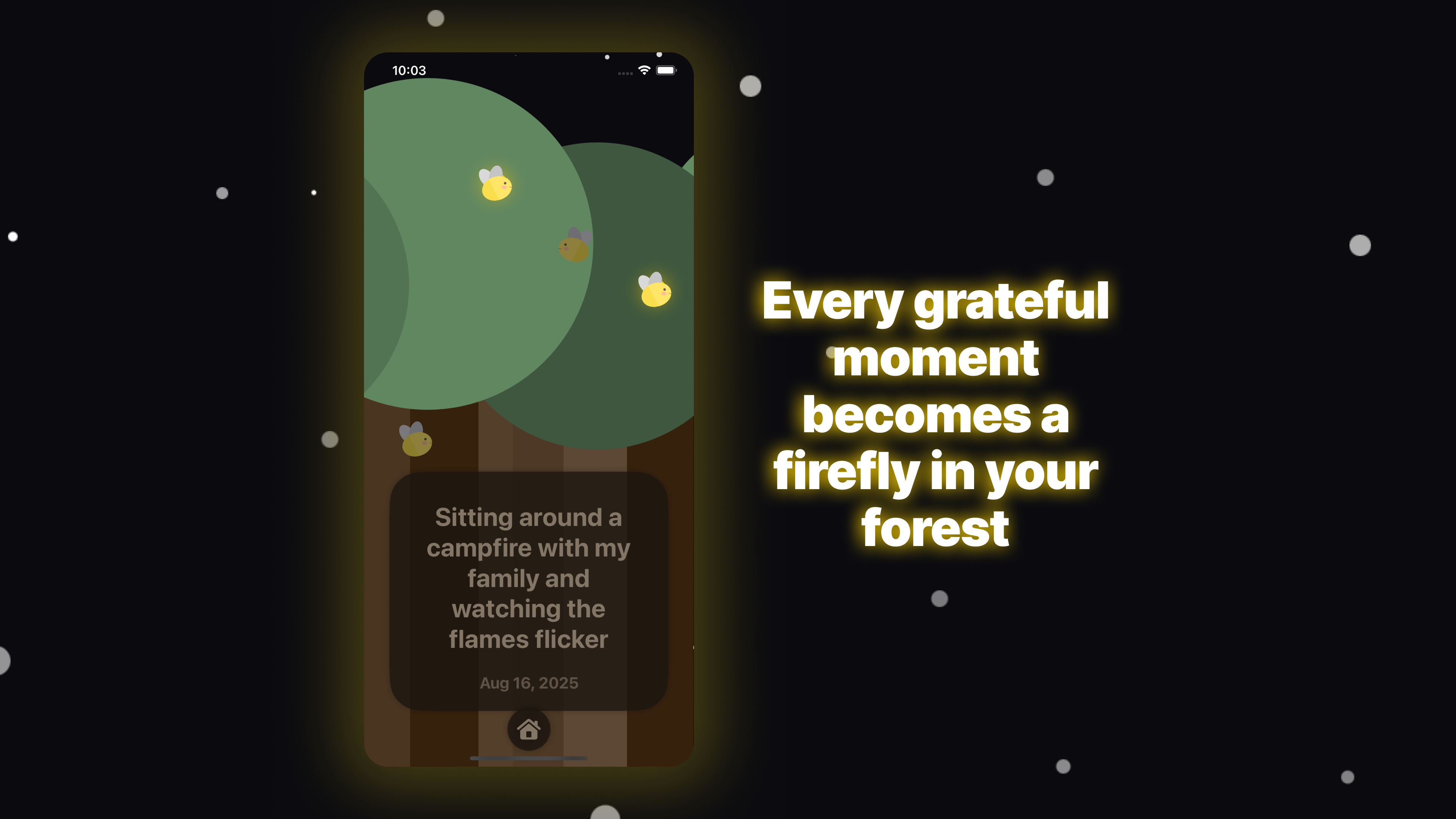 Media Lampyridae [iOS] - Jurnal syukur bebas dan estetik 100% 4