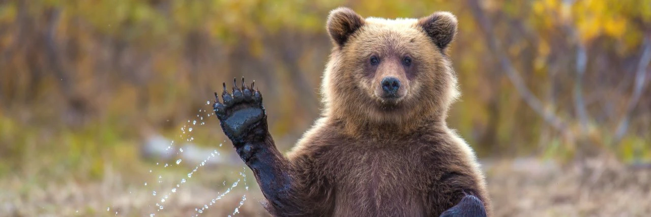 Dan Ruswick ☕️ cover