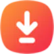 Fast Video Saver