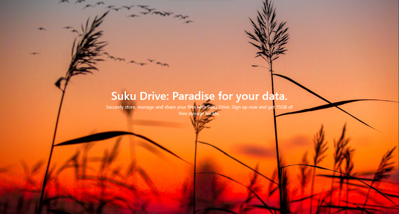 startuptile Suku Drive-Storage from the future with 75GB for free