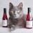 Apollo Peak: Cat & Dog Wine
