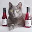 Apollo Peak: Cat & Dog Wine