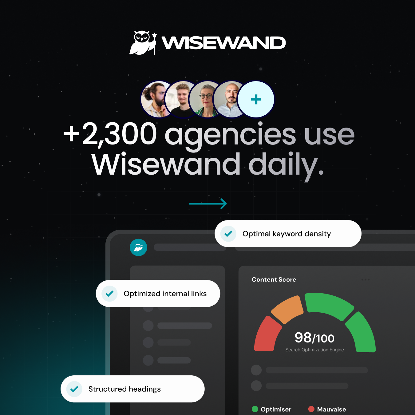 Wisewand gallery image