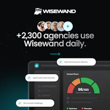 Wisewand gallery image