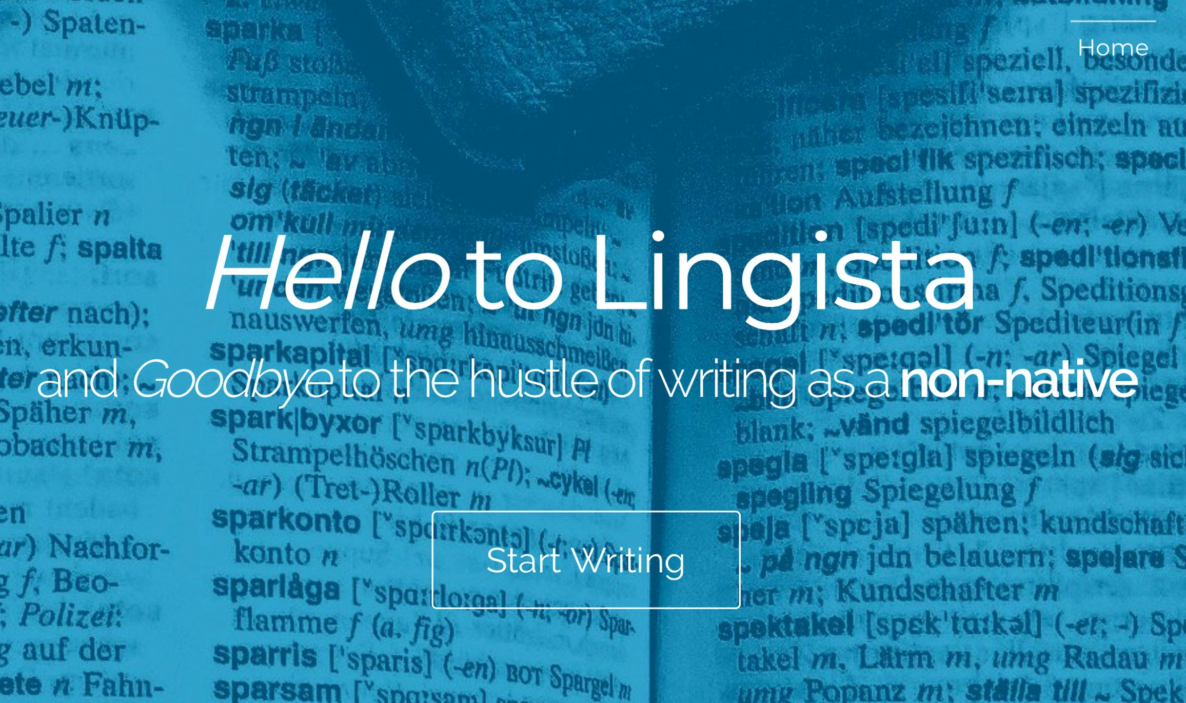 Lingista gallery image