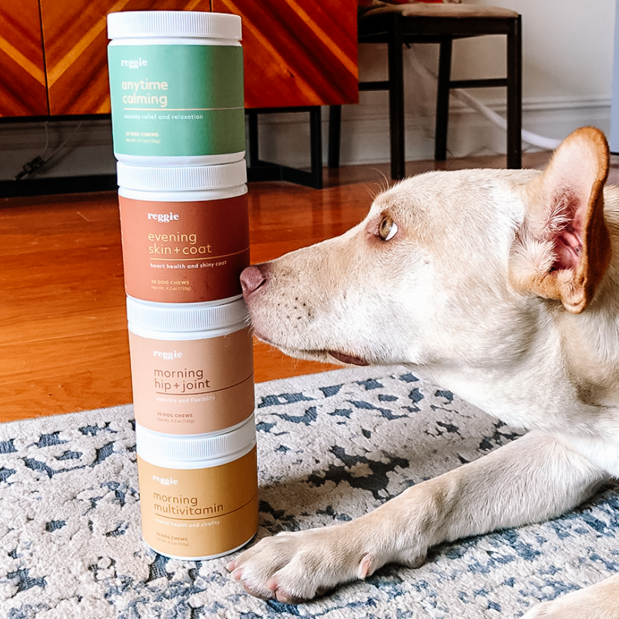 Reggie gallery image