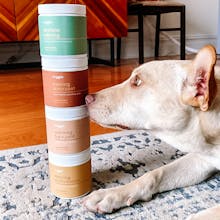 Reggie gallery image