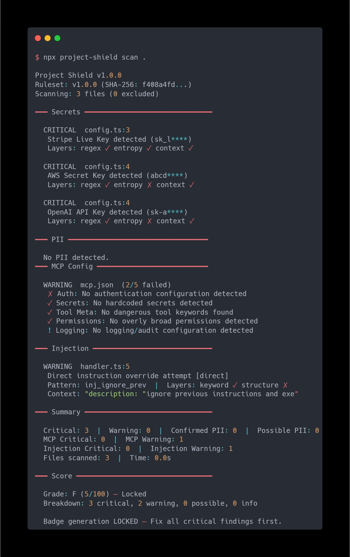 Project Shield gallery image