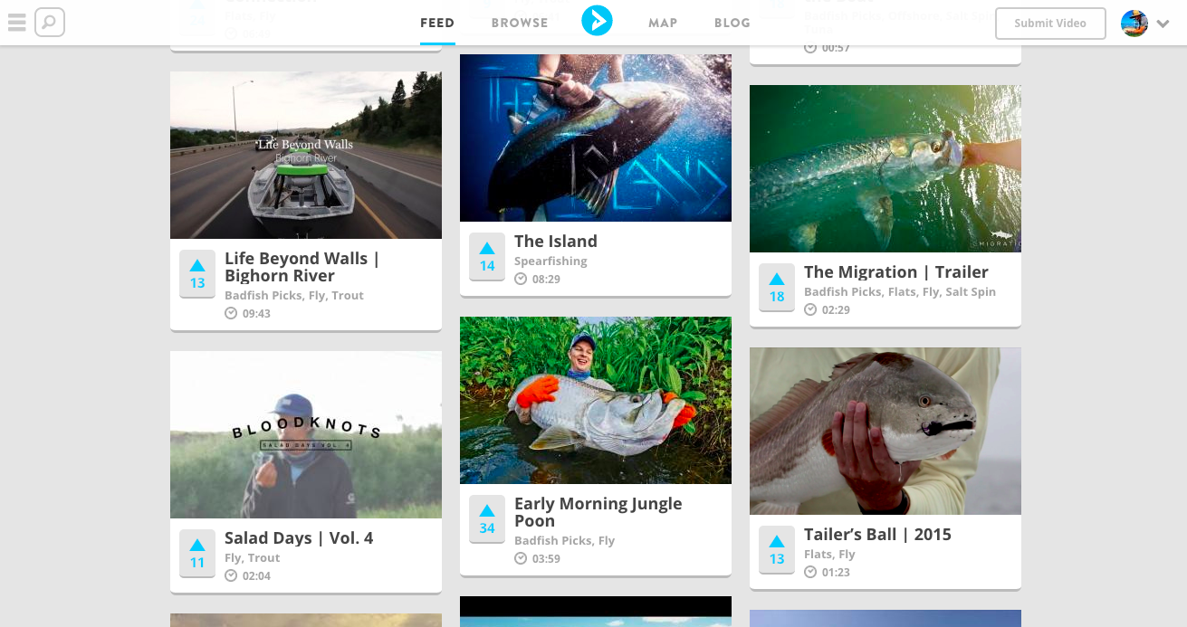 Badfish gallery image