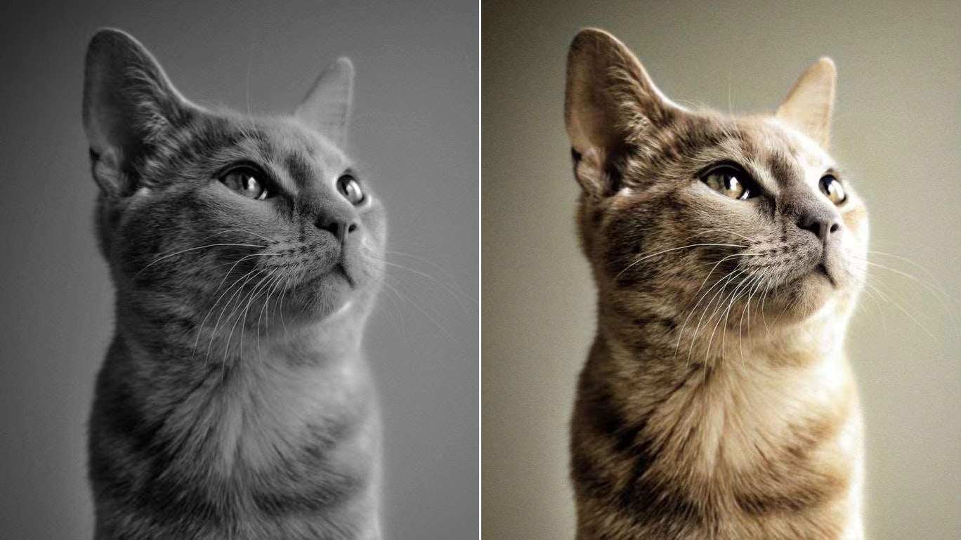 Colorize Digital gallery image