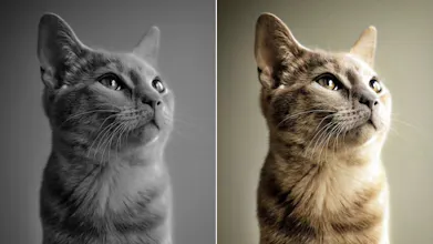 Colorize Digital gallery image