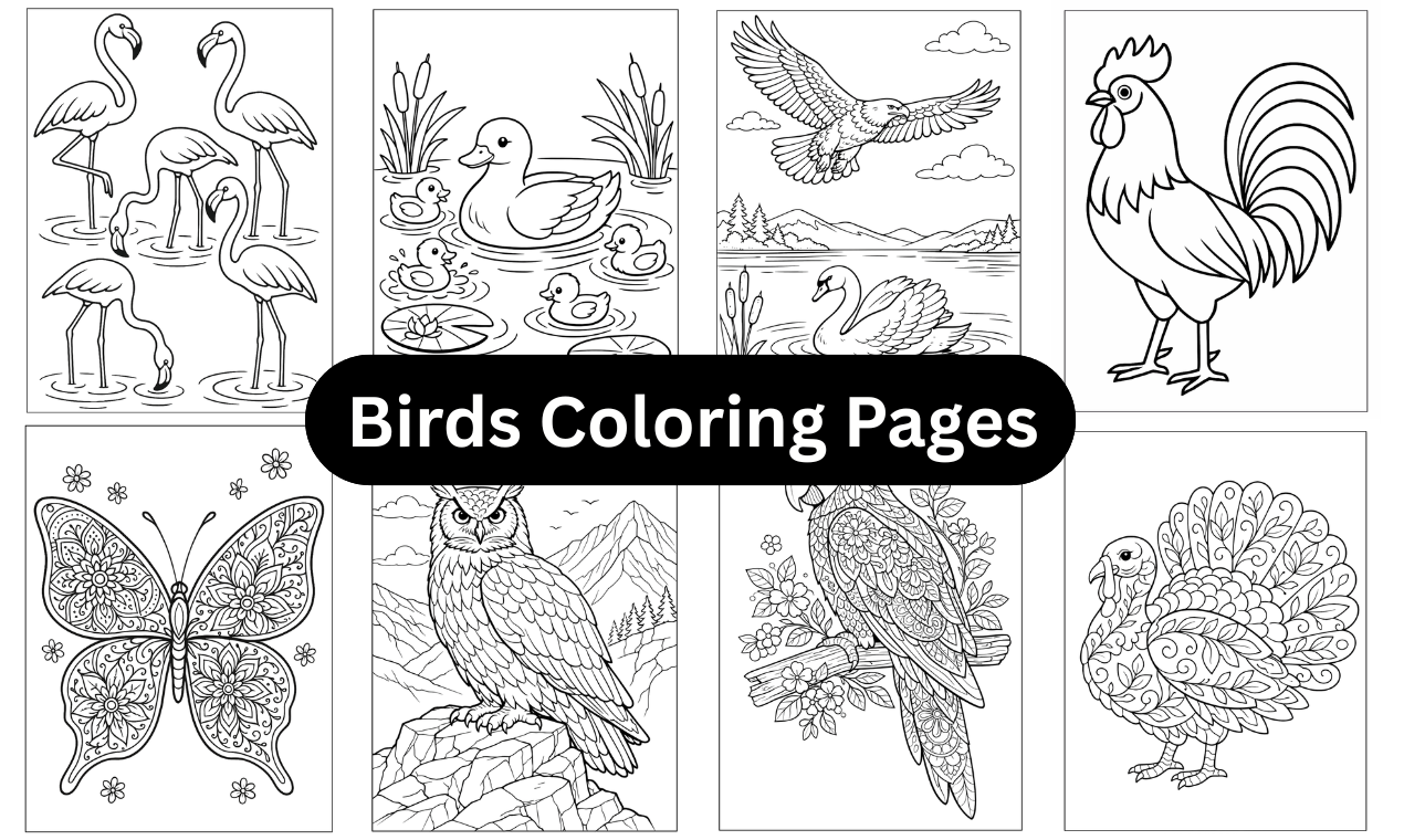 Coloring Pages for Kids and Adults gallery image