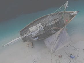 MusicVibes gallery image