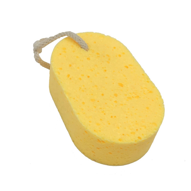 Cellulose Sponge