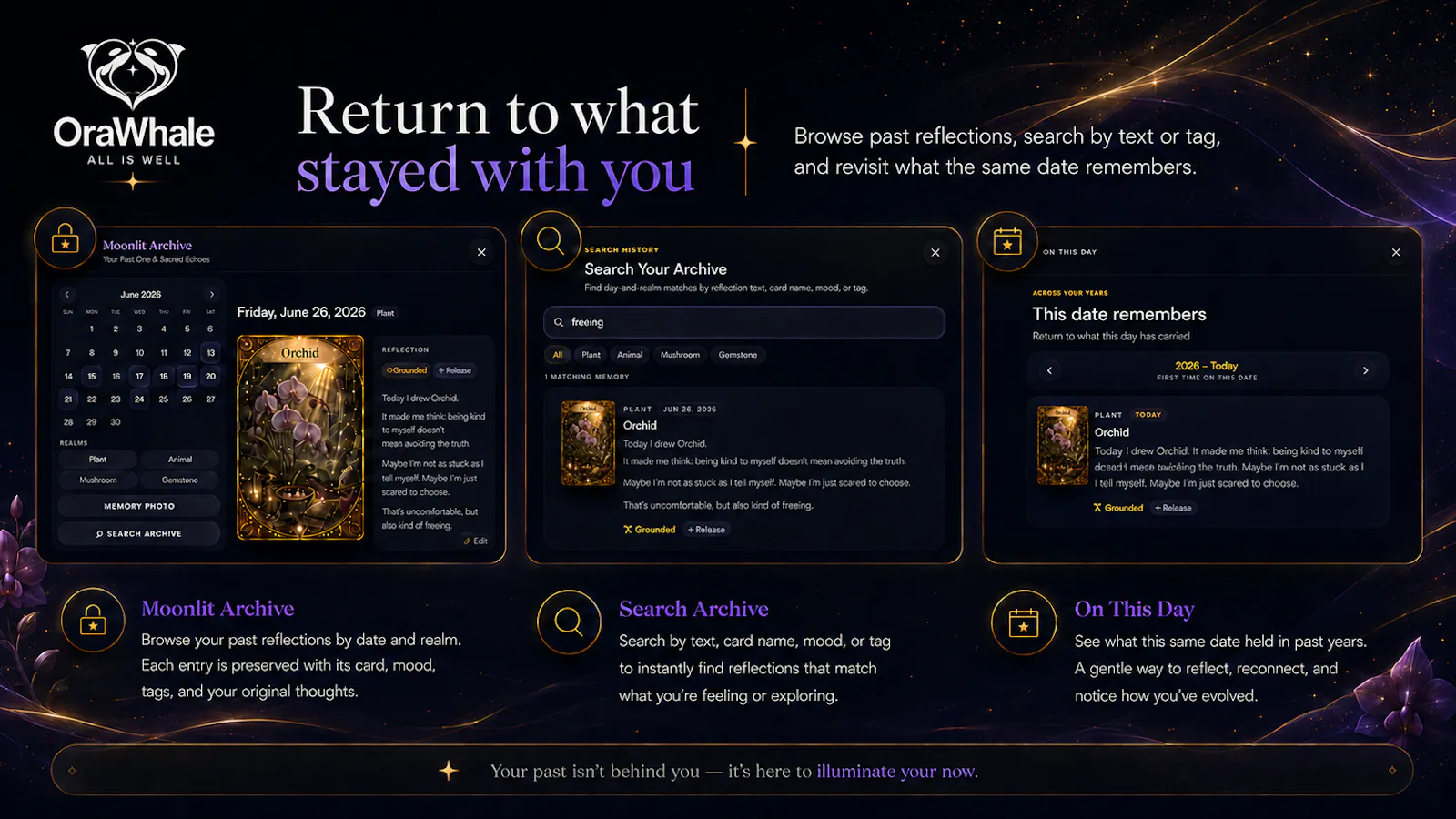 OraWhale screenshot 7