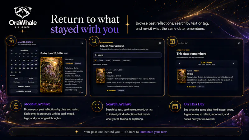 OraWhale screenshot 7