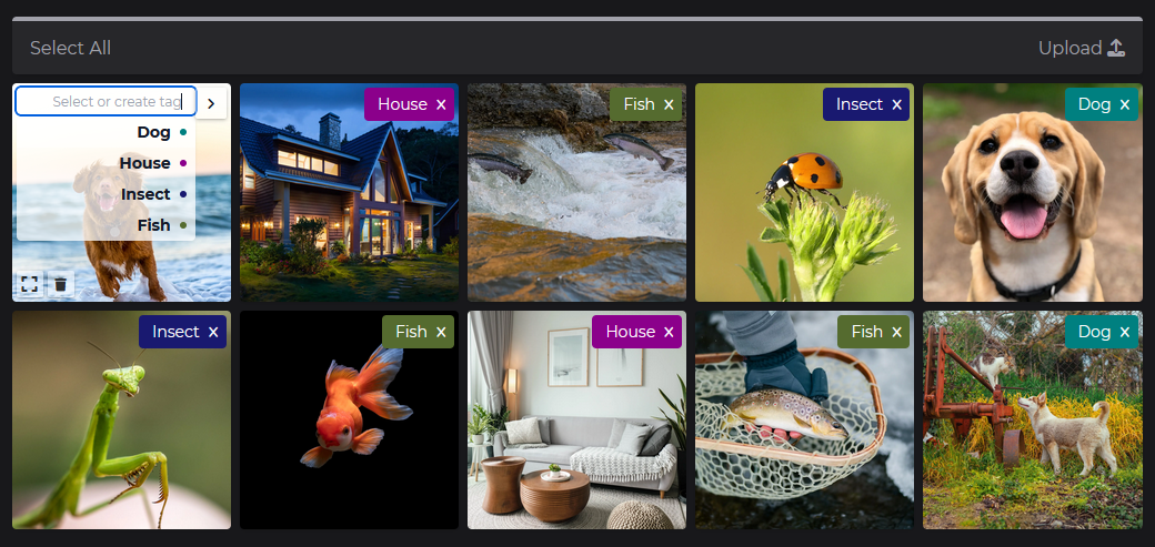 ImageSorter.io media 2