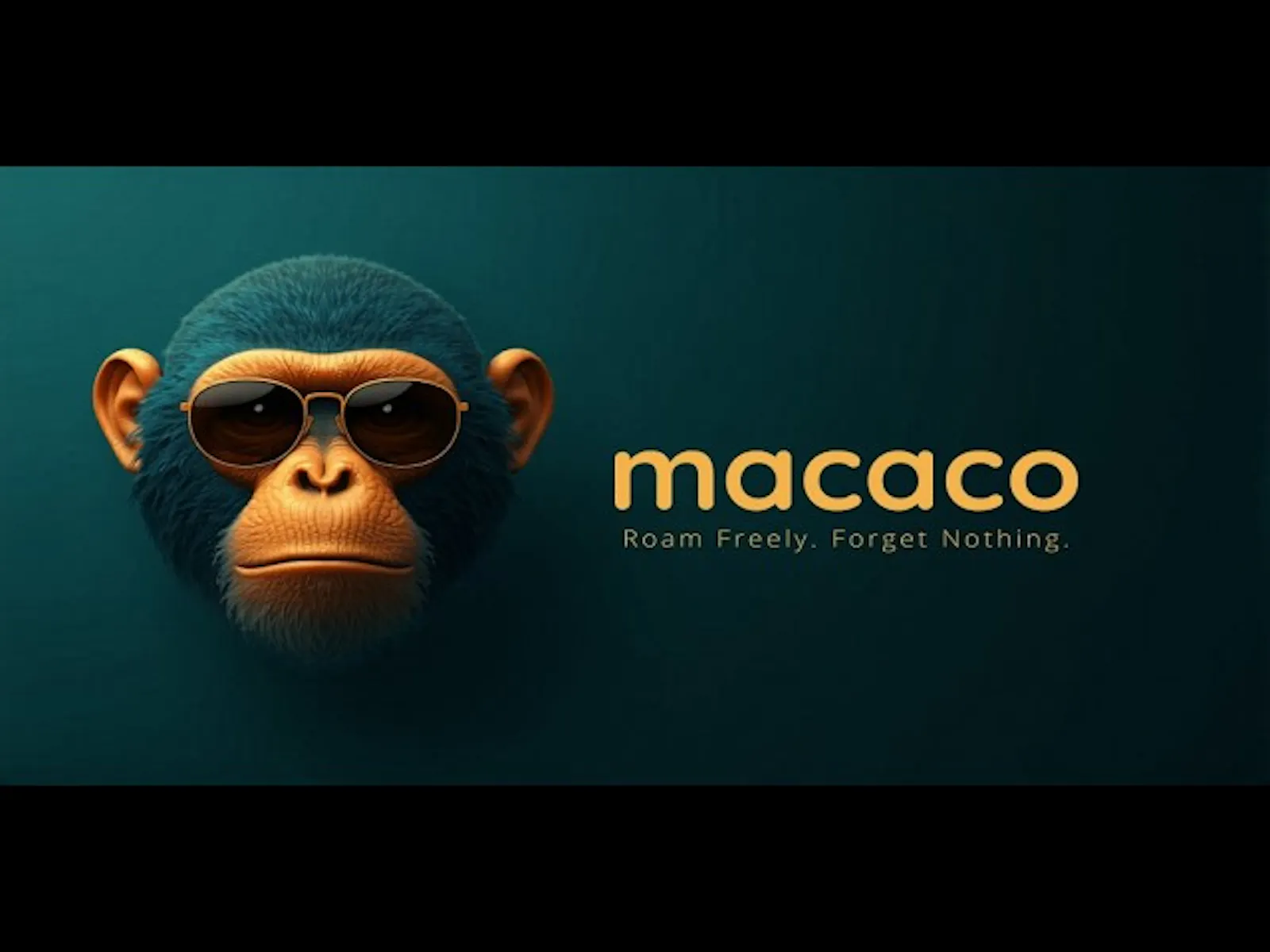 Macaco: Minimalist Trip Diary screenshot 1 (video preview)