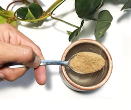 MUD\WTR gallery image