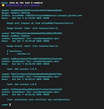 SnapCommit gallery image