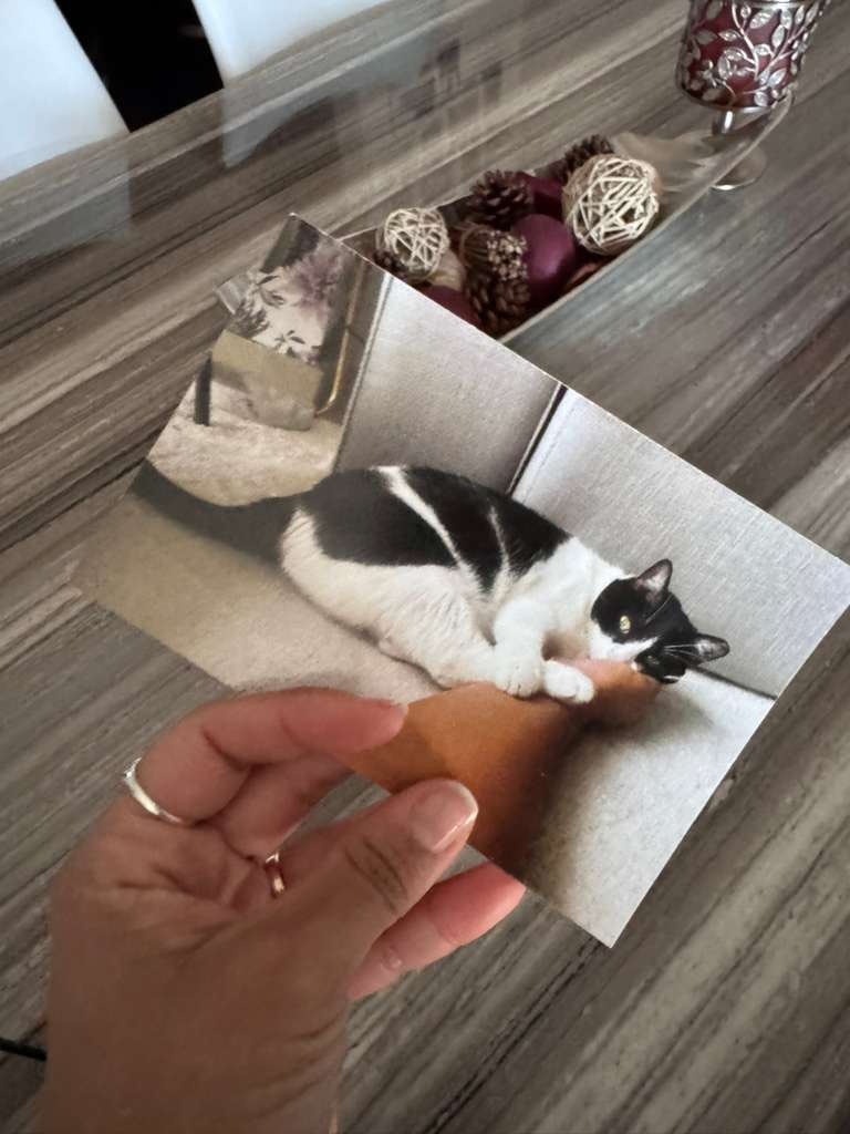 Ship a Postcard gallery image