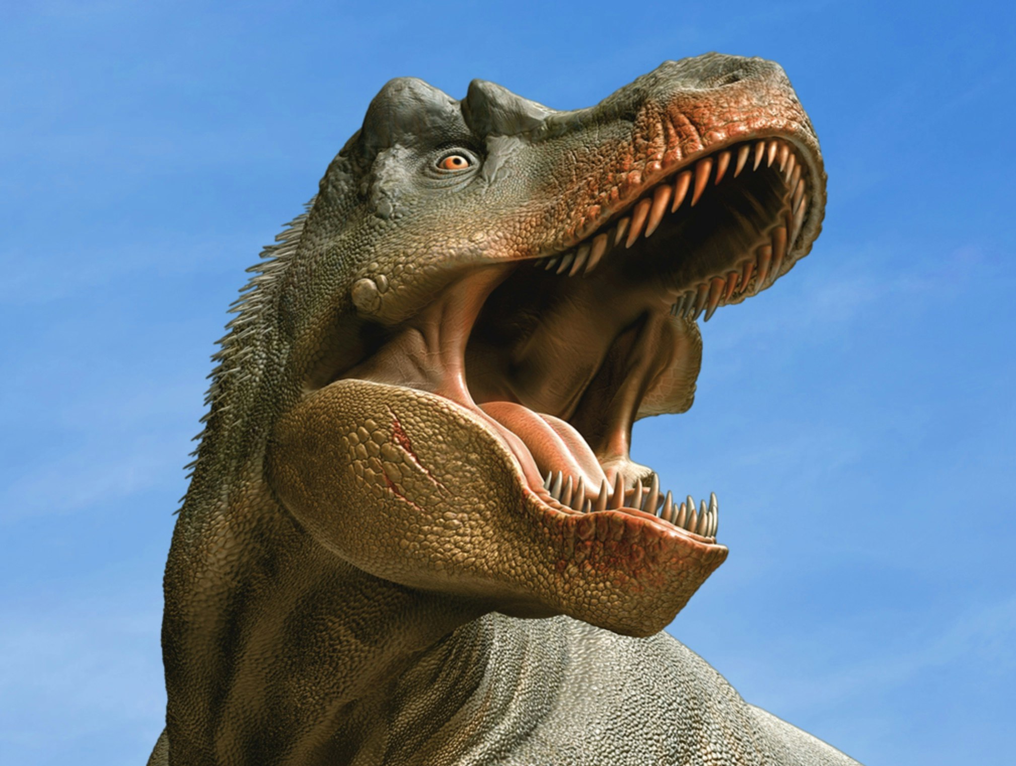 World of Dinosaurs 11 - L'ultima risorsa di dinosauro in AR media 1
