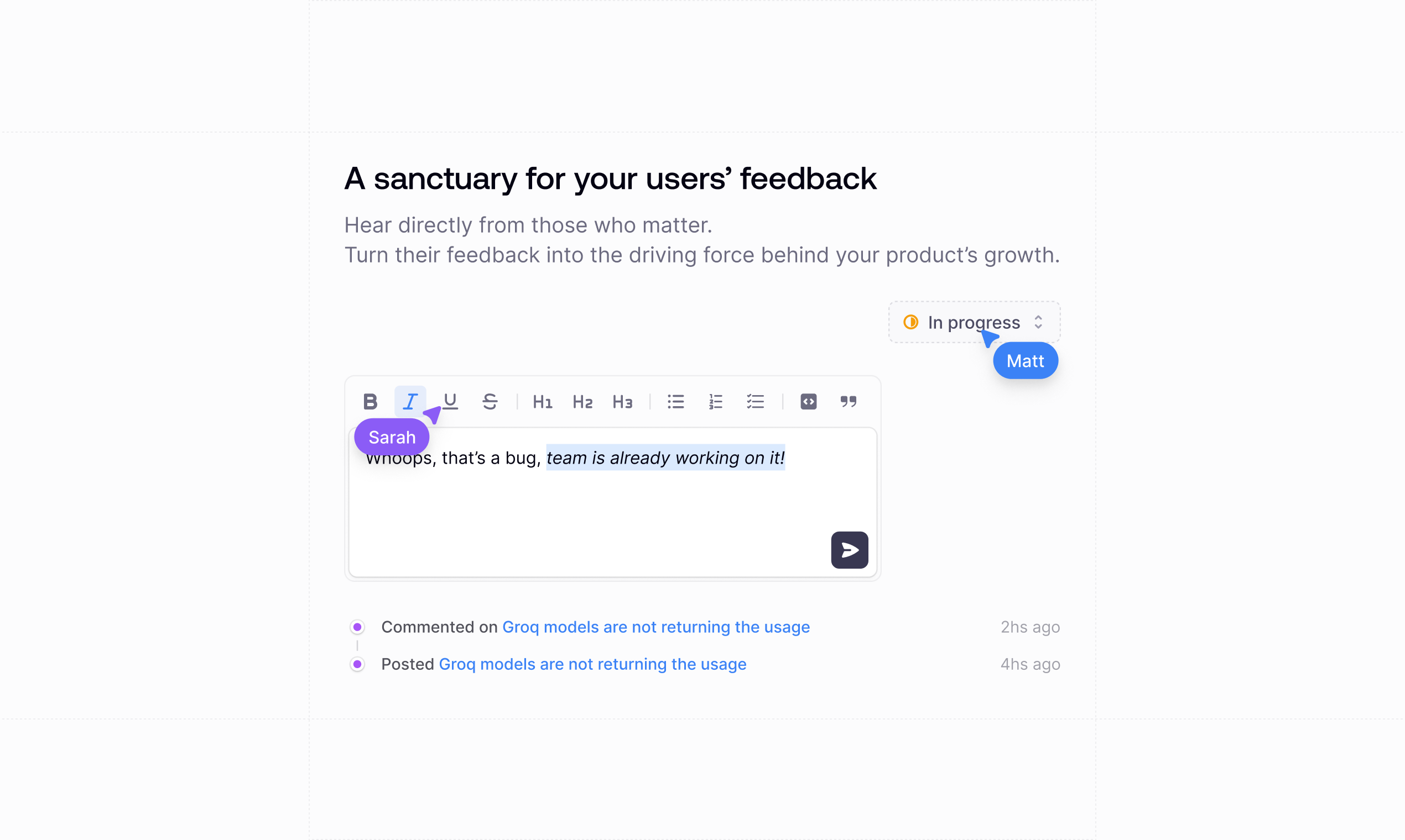 Ciro - Un santuario per il feedback dei tuoi utenti media 2