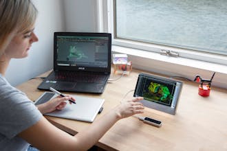 The Looking Glass gallery image