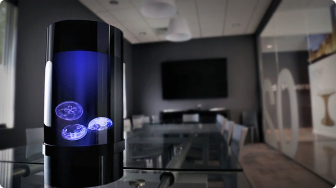 Jellyfish Aquarium gallery image