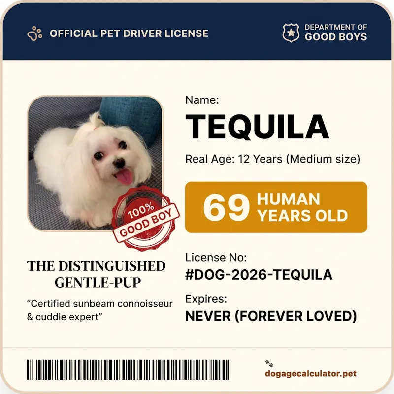 Dog Age Calculator screenshot 2