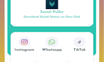 Social Puller image