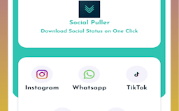 Social Puller media 1