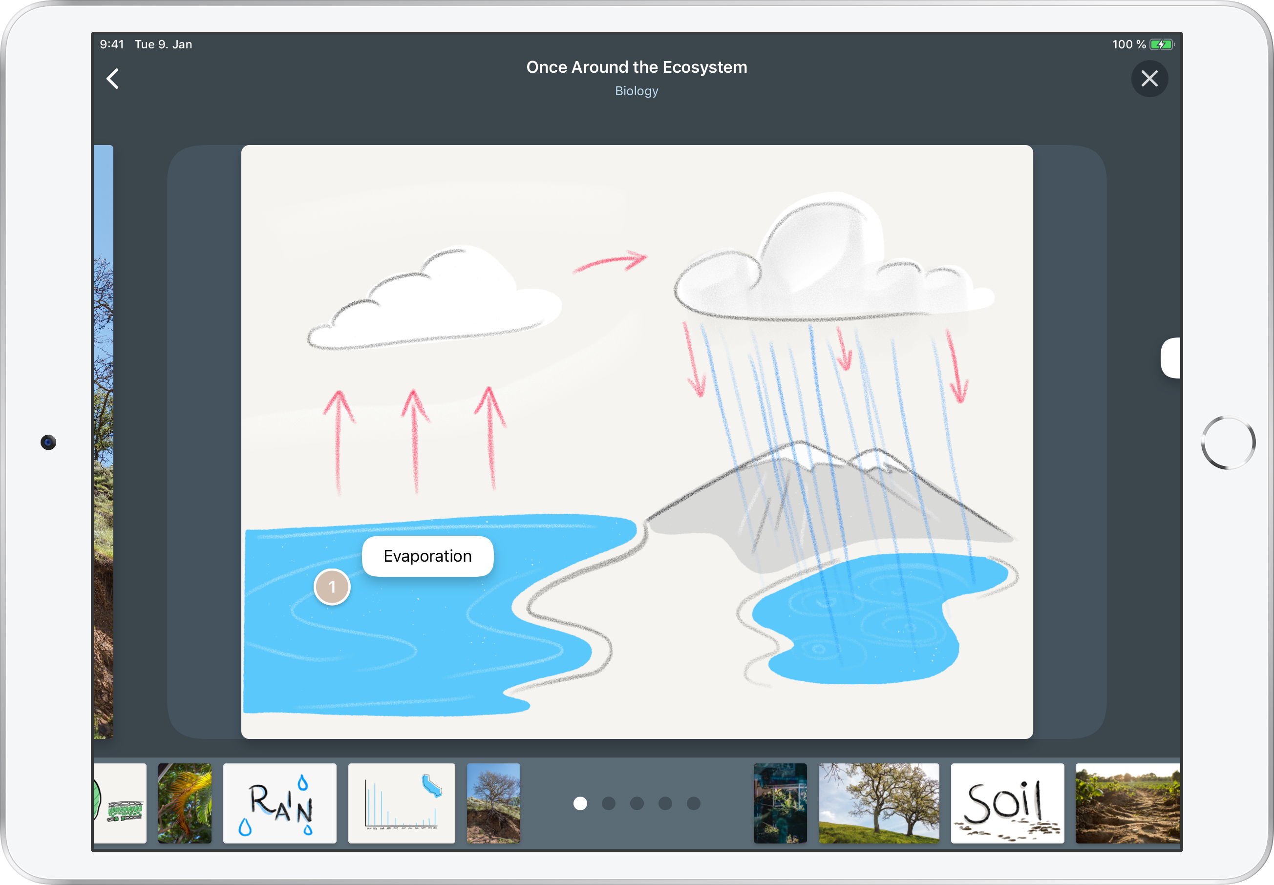 Velvet gallery image