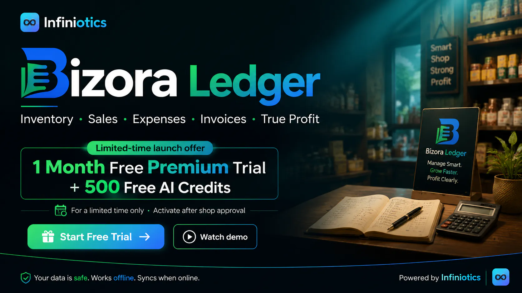 Bizora Ledger gallery image