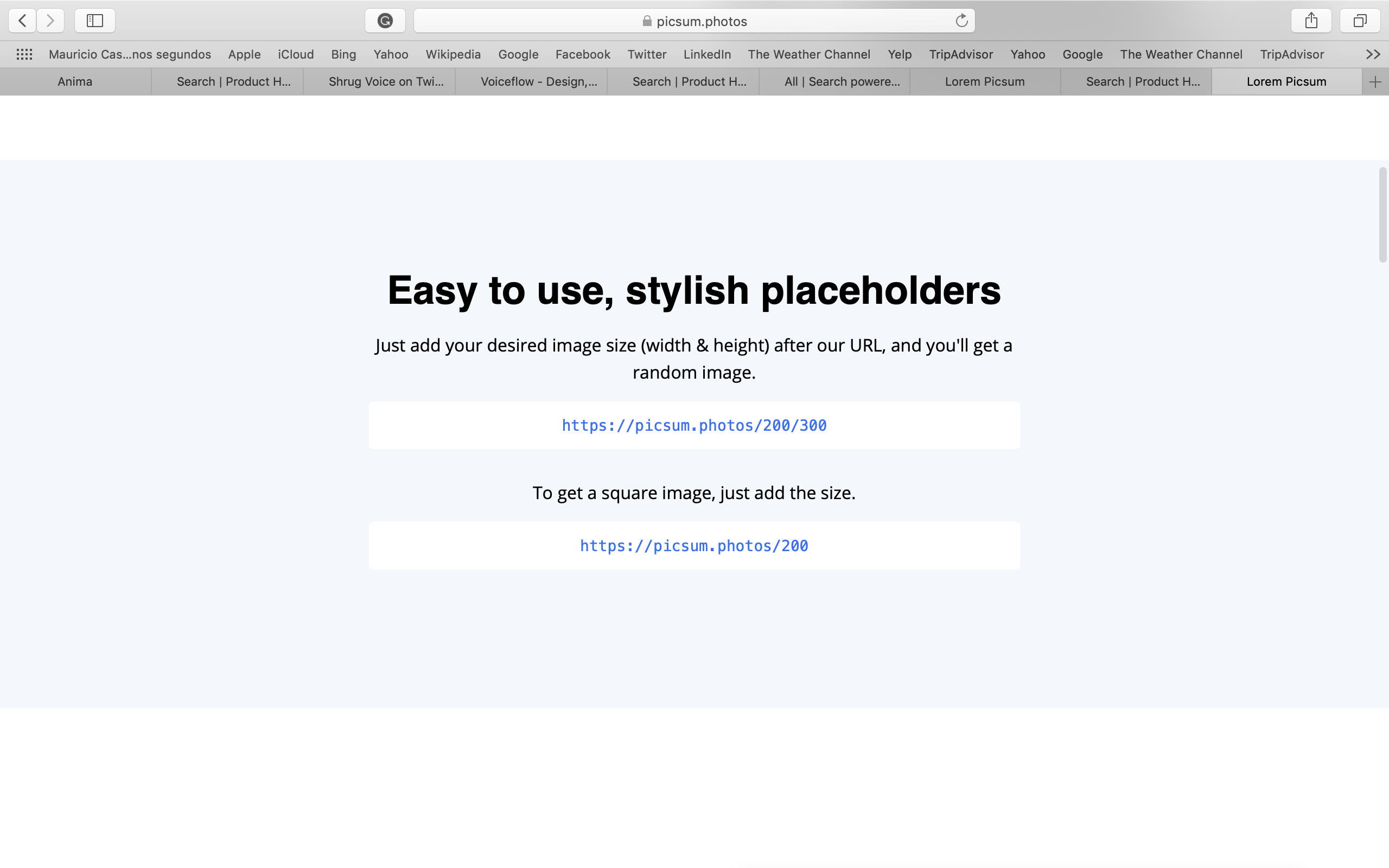 Lorem Picsum gallery image