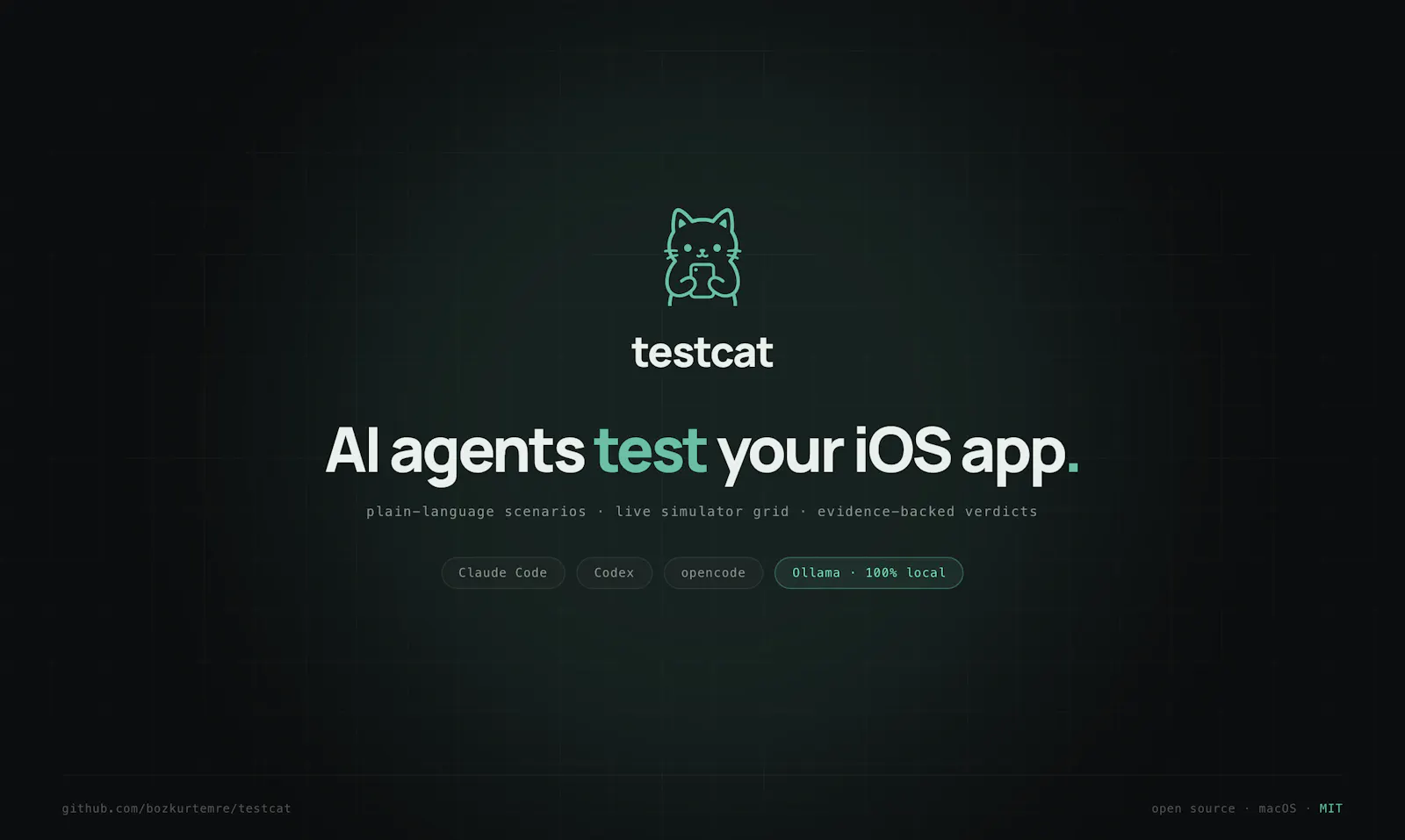 testcat screenshot 1